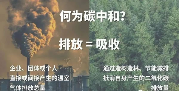 中国整木网 中国整木网