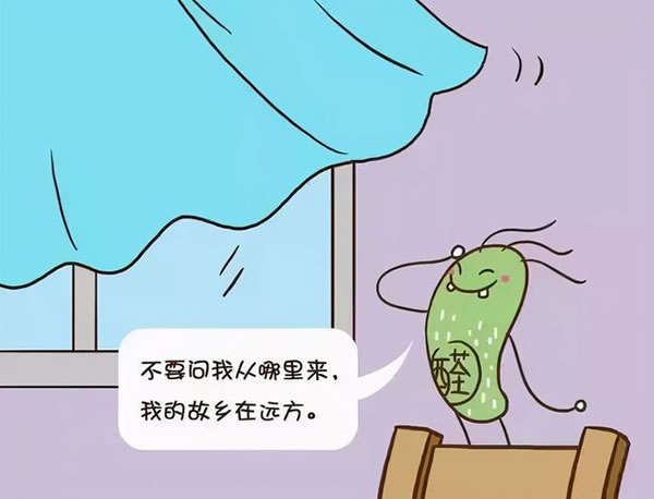 中国整木网 中国整木网