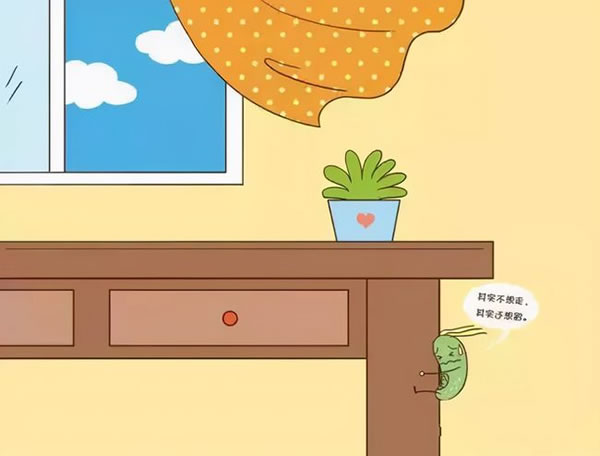 中国整木网 中国整木网