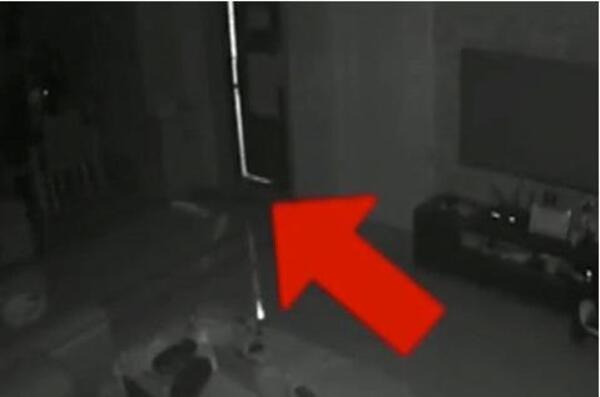 中国整木网 中国整木网