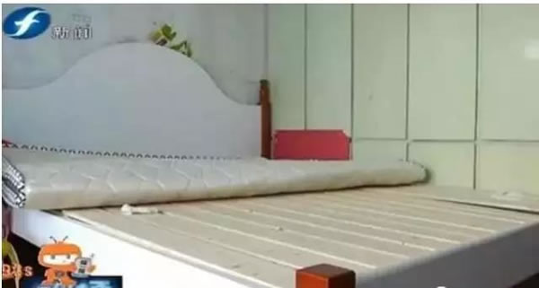 中国整木网 中国整木网