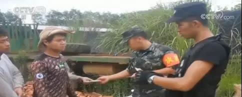 中国整木网 中国整木网