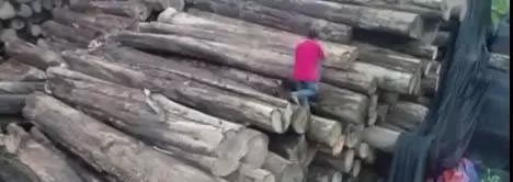 中国整木网 中国整木网