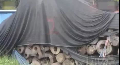 中国整木网 中国整木网