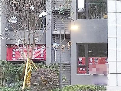 中国整木网 中国整木网