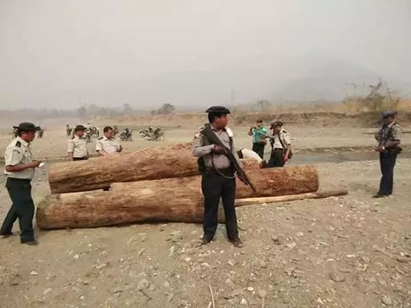 中国整木网 中国整木网