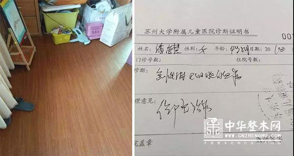 中国整木网 中国整木网