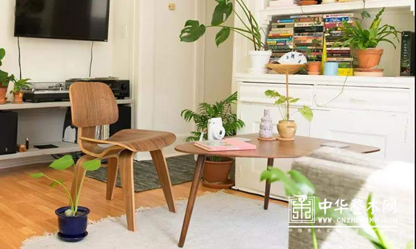 中国整木网 中国整木网