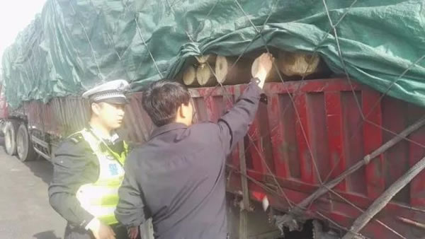 中国整木网 中国整木网