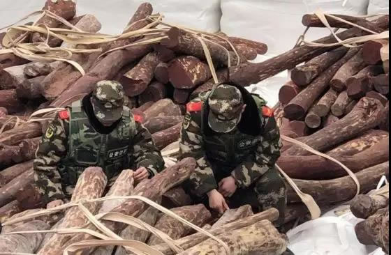 中国整木网 中国整木网