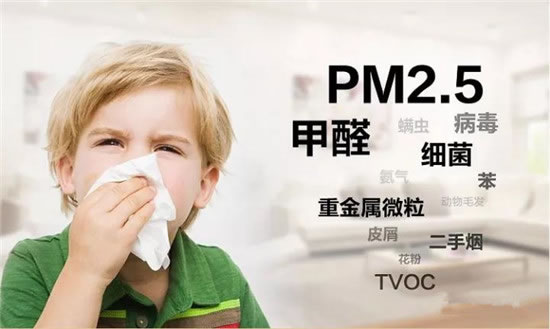 中国整木网 中国整木网