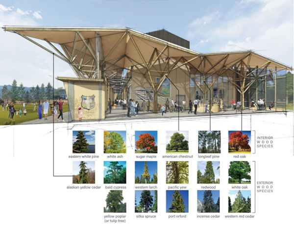 中国整木网 中国整木网