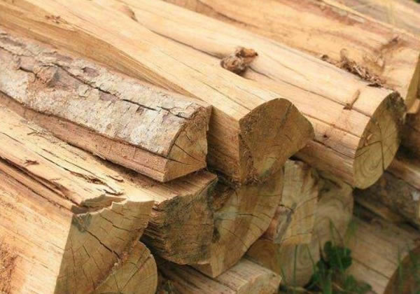 中国整木网 中国整木网