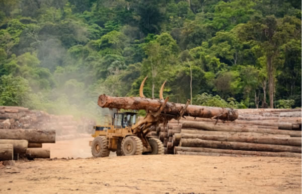 中国整木网 中国整木网