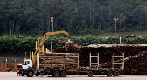 中国整木网 中国整木网