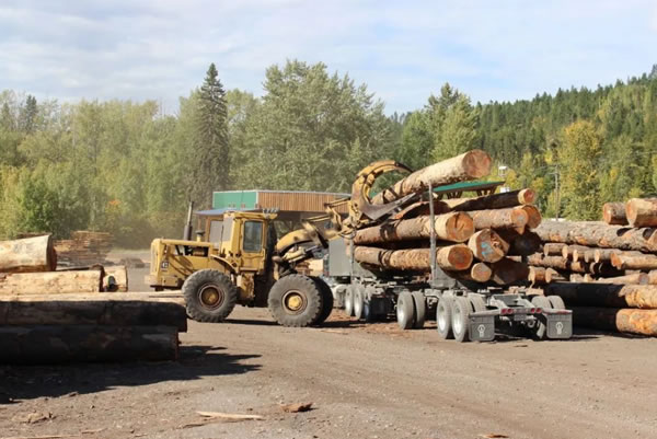 中国整木网 中国整木网