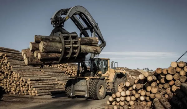 中国整木网 中国整木网