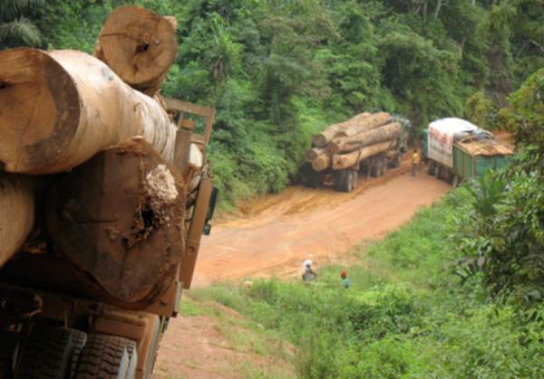 中国整木网 中国整木网