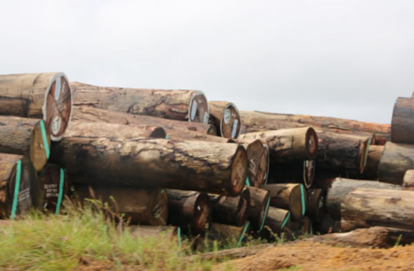 中国整木网 中国整木网