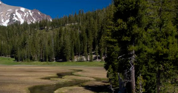 中国整木网 中国整木网