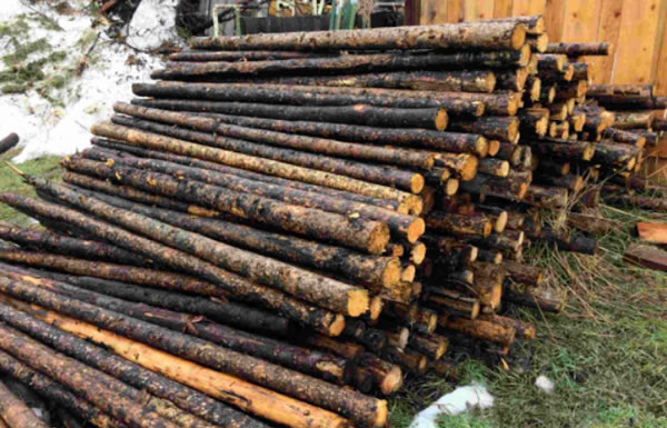 中国整木网 中国整木网