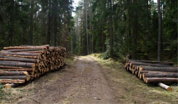 中国整木网 中国整木网