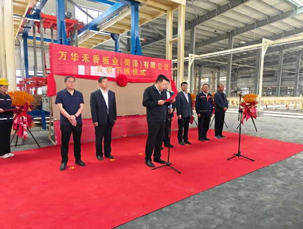 中国整木网 中国整木网