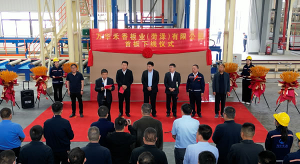 中国整木网 中国整木网