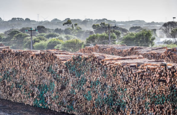 中国整木网 中国整木网