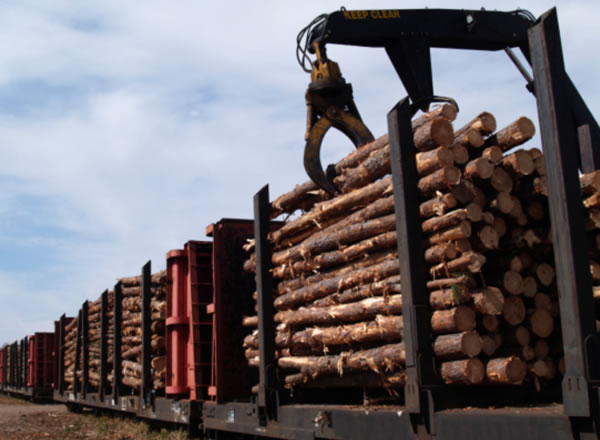 中国整木网 中国整木网