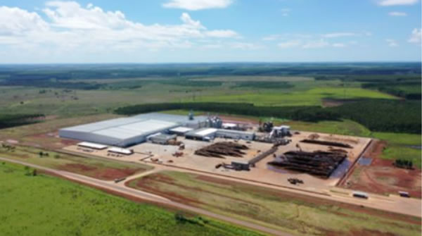 中国整木网 中国整木网