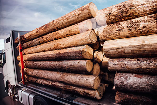 中国整木网 中国整木网