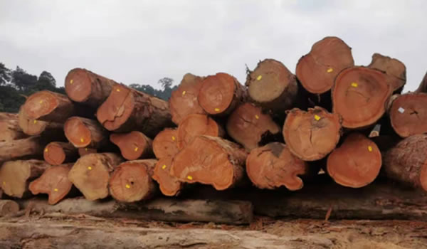 中国整木网 中国整木网