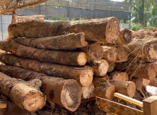 中国整木网 中国整木网