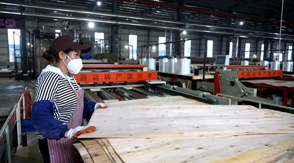 中国整木网 中国整木网