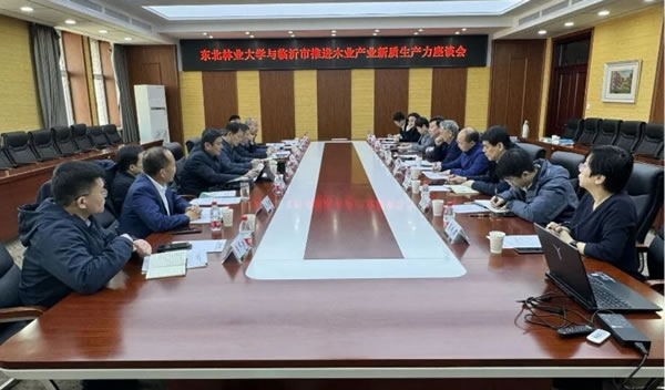 中国整木网 中国整木网