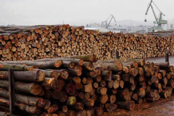 中国整木网 中国整木网