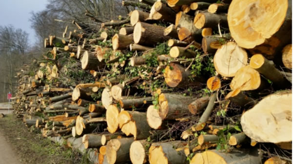 中国整木网 中国整木网