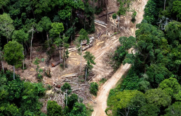 中国整木网 中国整木网