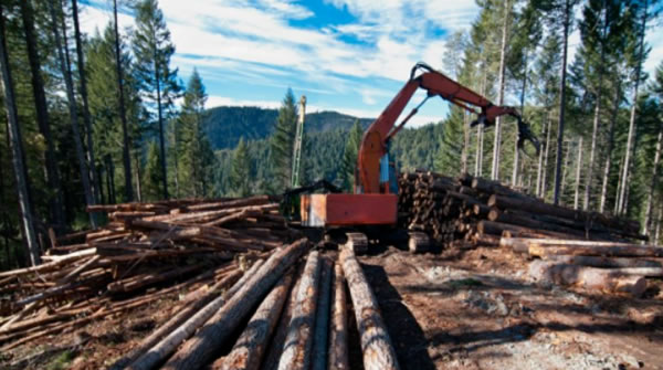 中国整木网 中国整木网