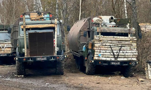 中国整木网 中国整木网