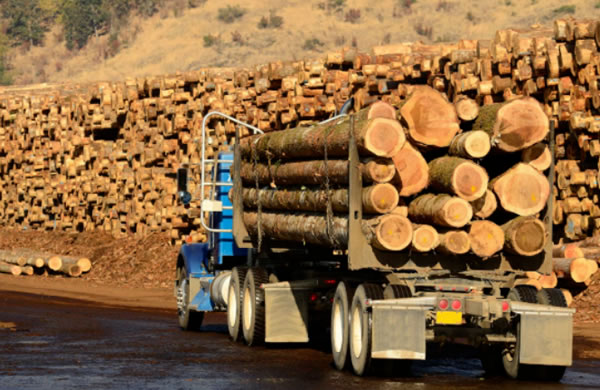 中国整木网 中国整木网