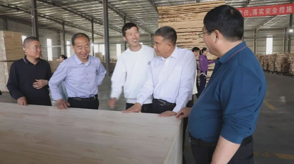 中国整木网 中国整木网