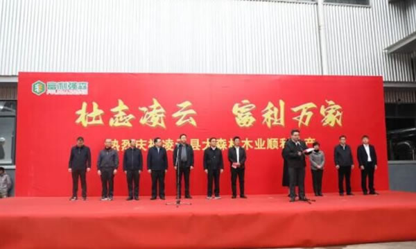 中国整木网 中国整木网