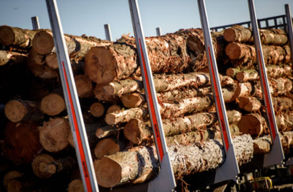 中国整木网 中国整木网