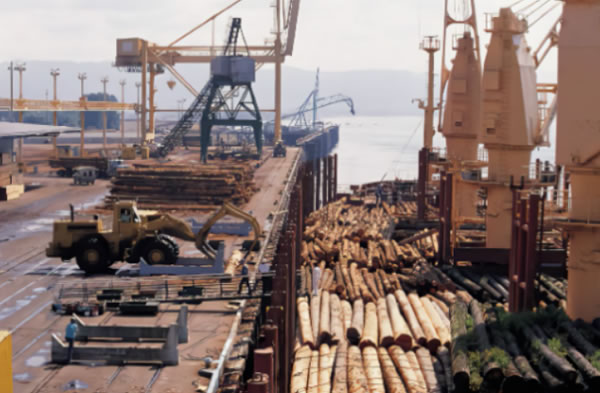 中国整木网 中国整木网