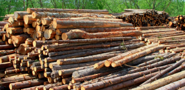 中国整木网 中国整木网