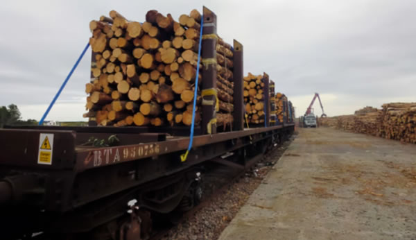 中国整木网 中国整木网