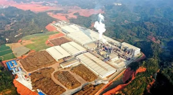 中国整木网 中国整木网