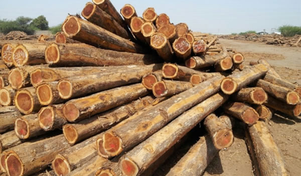 中国整木网 中国整木网